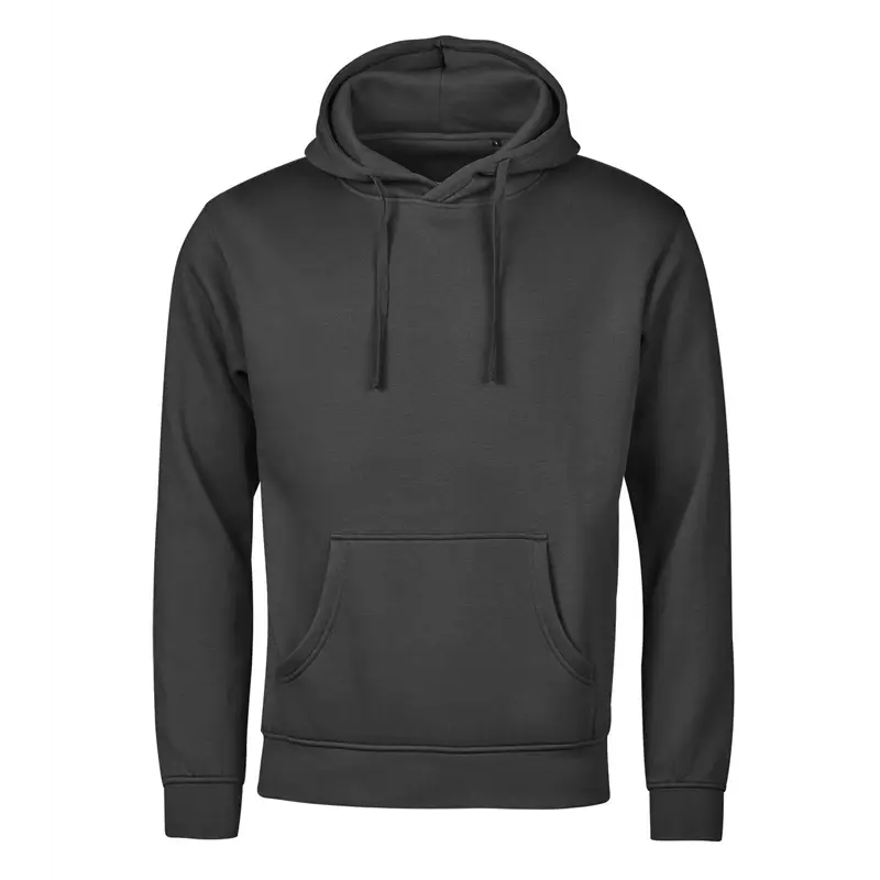 Unlabeled Hooded Sweatshirt