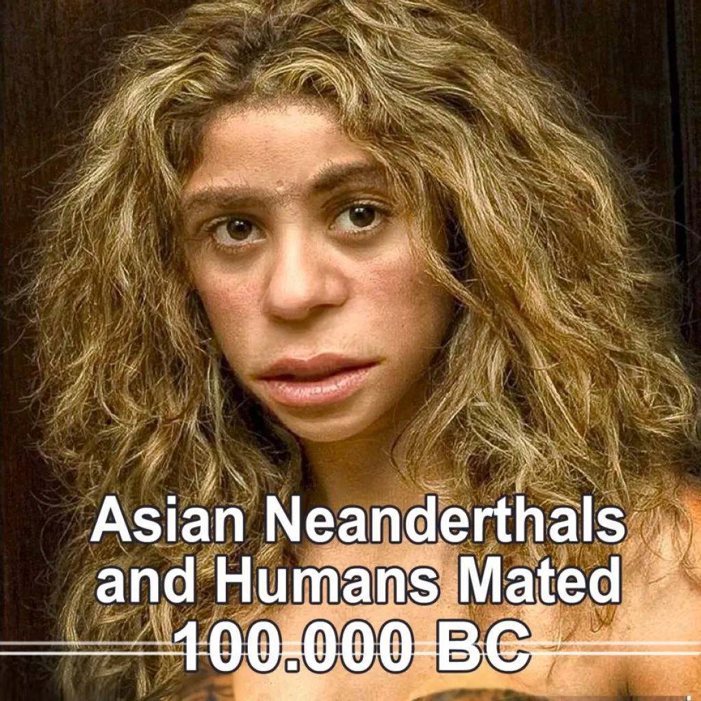 asian-neanderthals-and-humans-mated