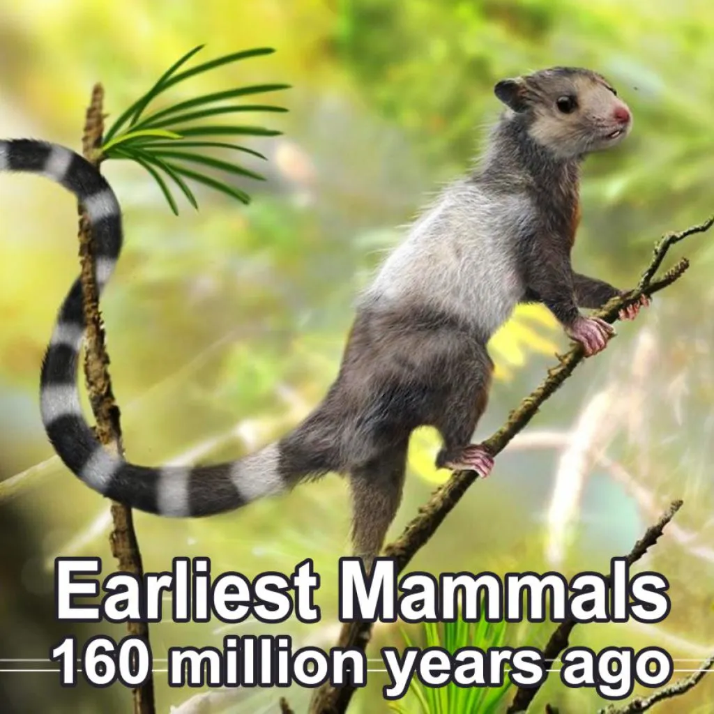 earliest-mammals