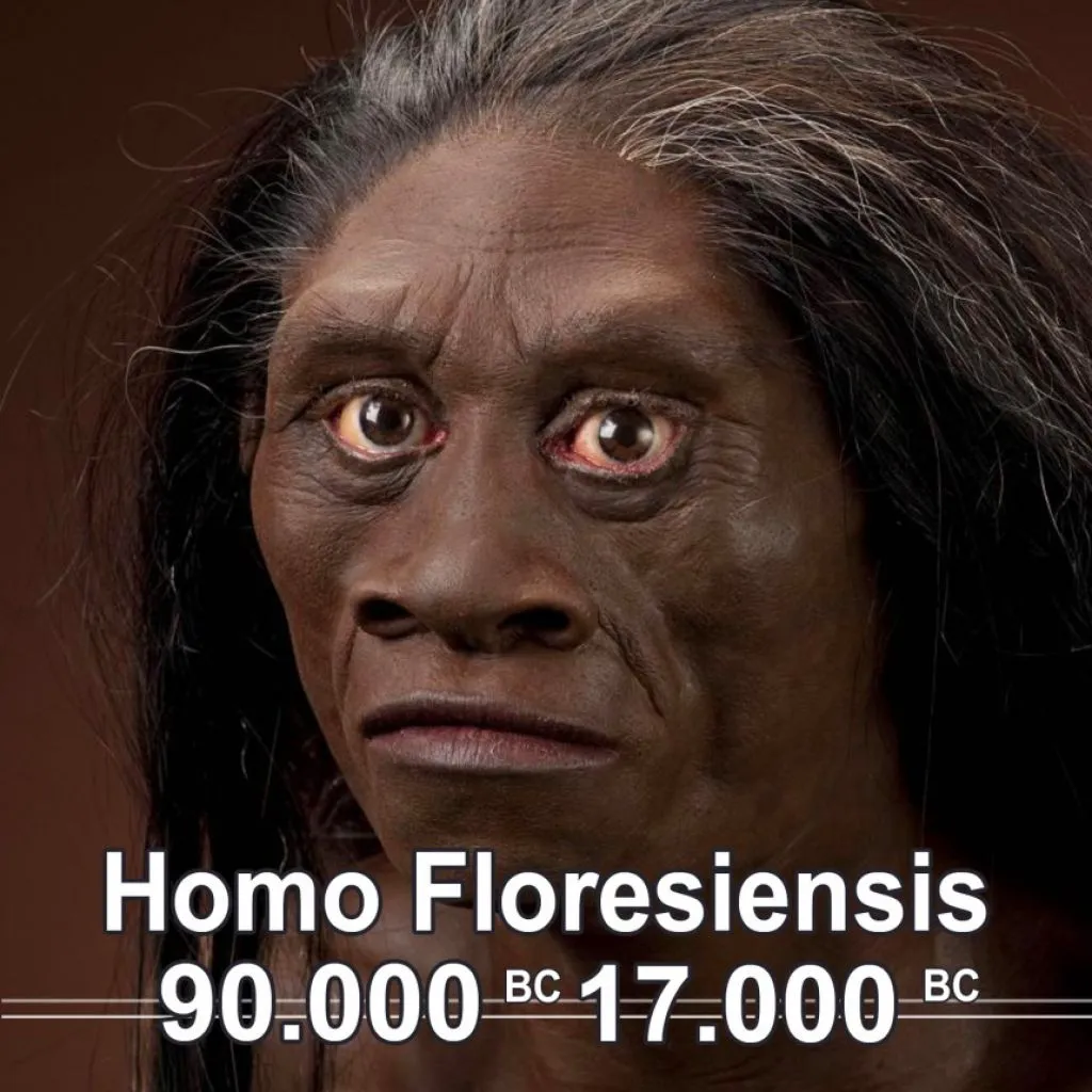 homo-floresiensis
