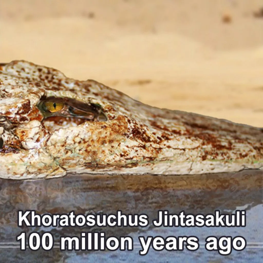 khoratosuchus-jintasakulie