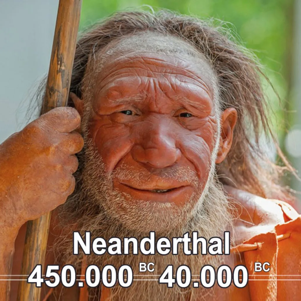 neanderthal