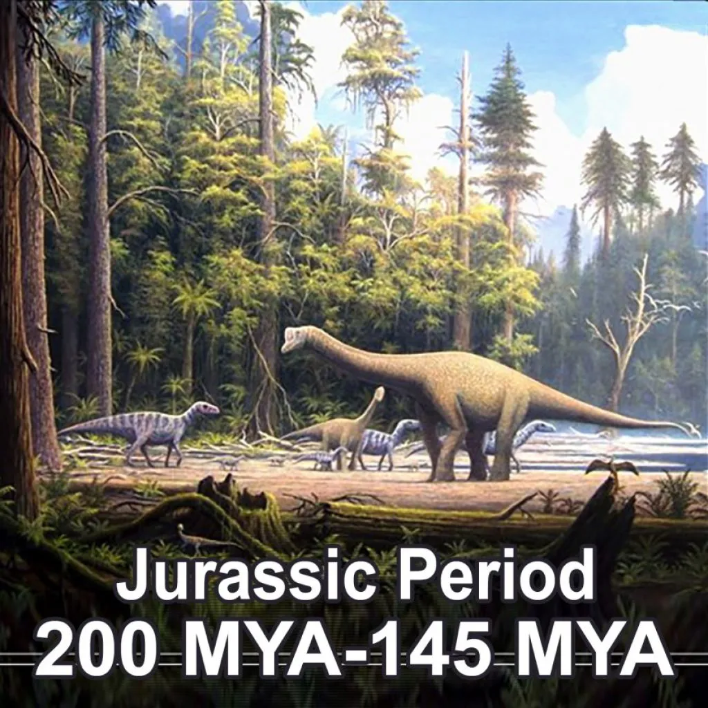 the-jurassic-period