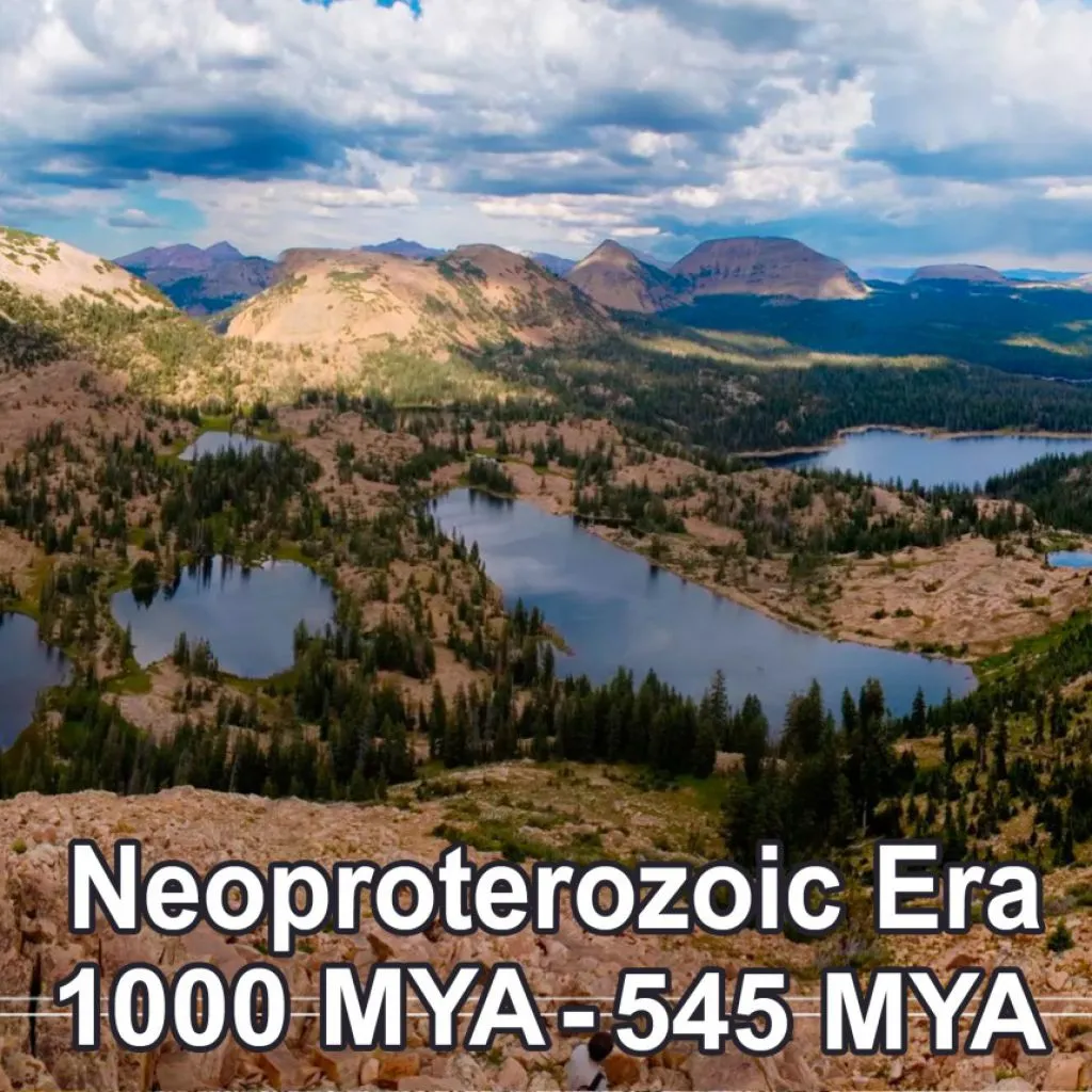 the-neoproterozoic-era