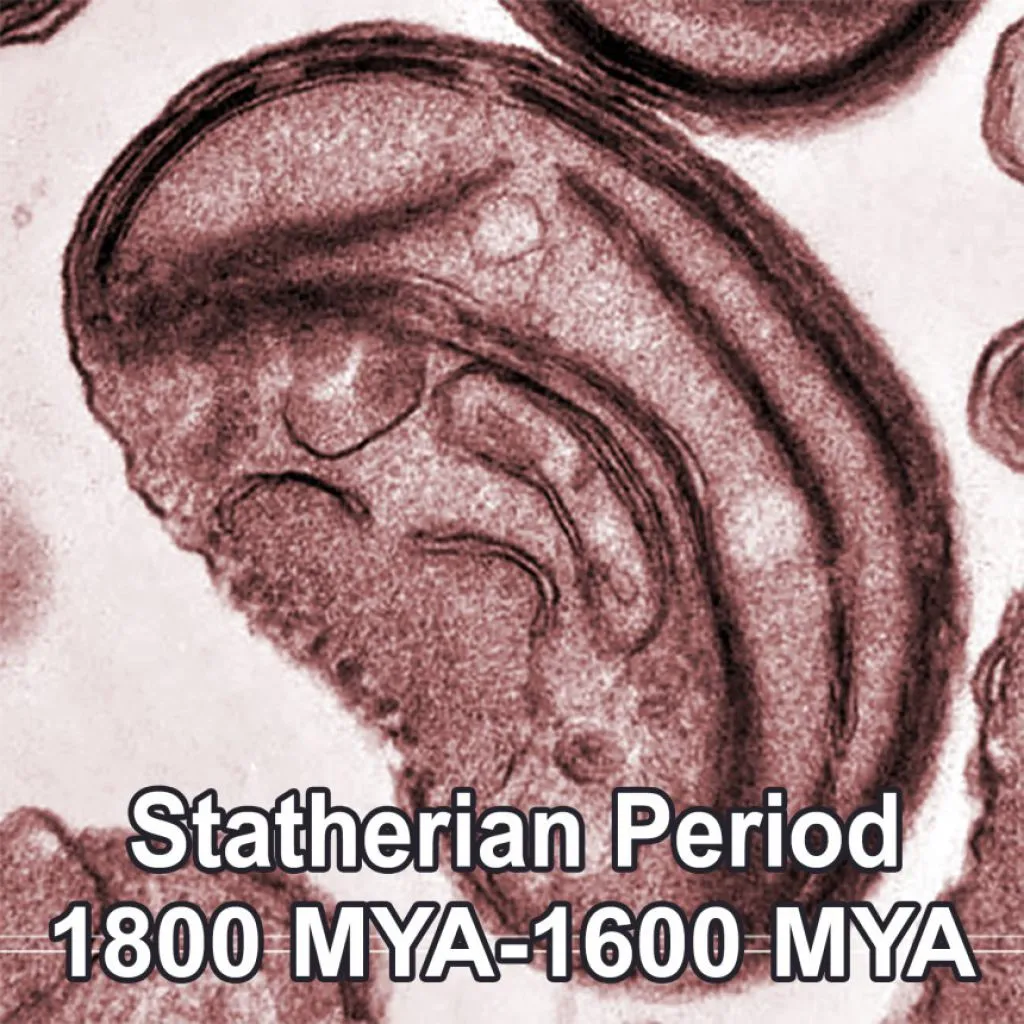 the-statherian-period