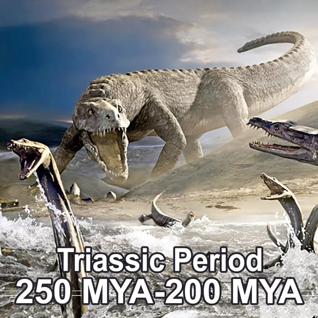the-triassic-period
