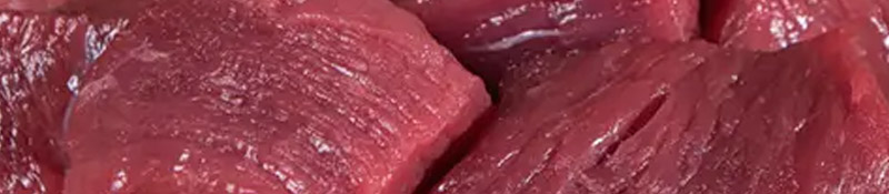 1151