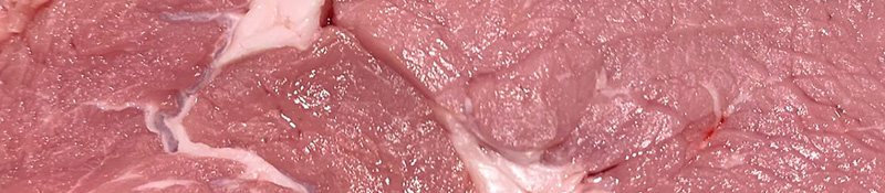 1244