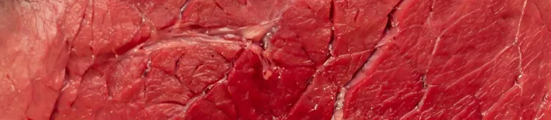 1102