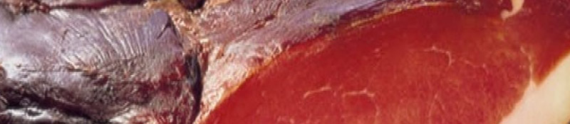 1044