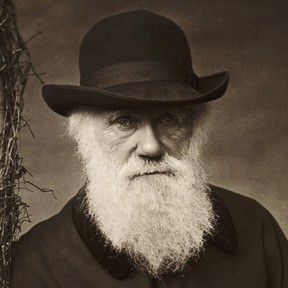 charles-darwin