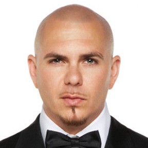pitbull