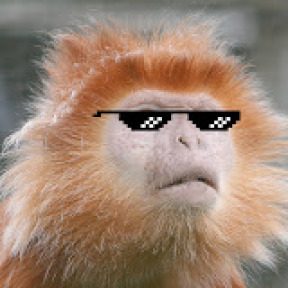 dan-dingle